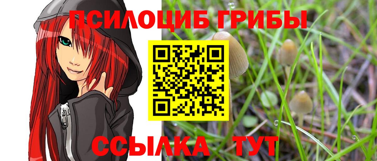 A PVP Чебоксары